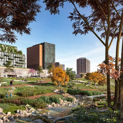 The Confluence rendering